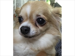 ソラ
